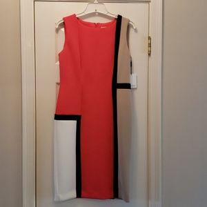 Block color dress